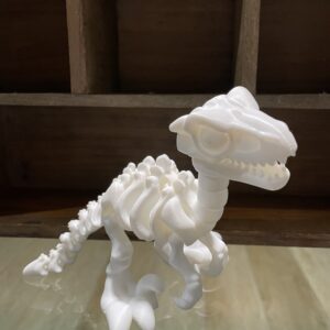 Velociraptor mediano